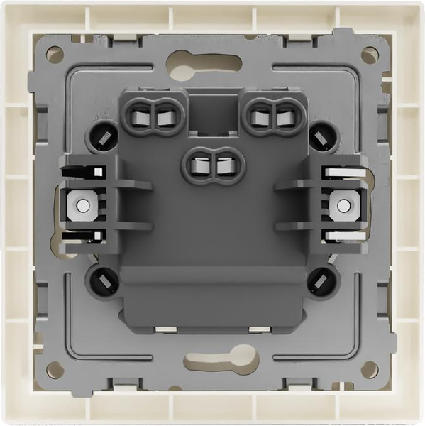Выключатель Tokov Electric Pixel TKE-PX-V2F-C02