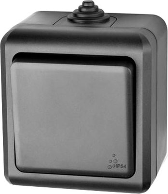 Выключатель Tokov Electric Dita TKL-DT-V1-C14-IP54 - фото