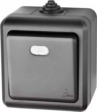 Выключатель Tokov Electric Dita TKL-DT-V1I-C14-IP54 - фото