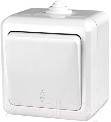 Выключатель Tokov Electric Dita TKL-DT-P1-C14-IP54 - фото