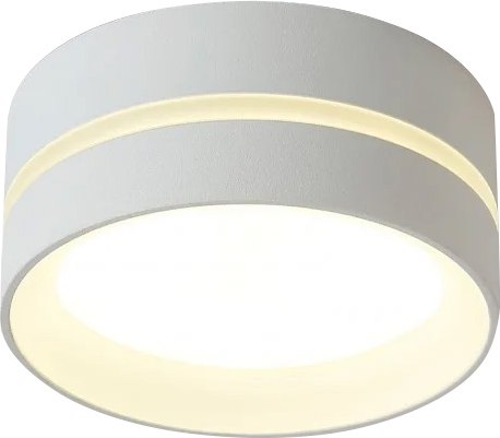 Точечный светильник Ambrella GX53 TN5391 SWH/FR - фото