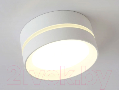 Точечный светильник Ambrella GX53 TN5391 SWH/FR