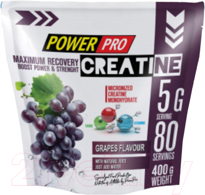 Креатин POWER PRO Maximum Recovery PP / PP982336 - фото