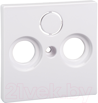 Лицевая панель для розетки Schneider Electric Merten MTN296725 - фото