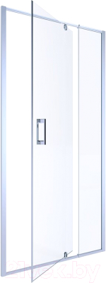 Душевая дверь Alex Baitler AB71C100 - фото