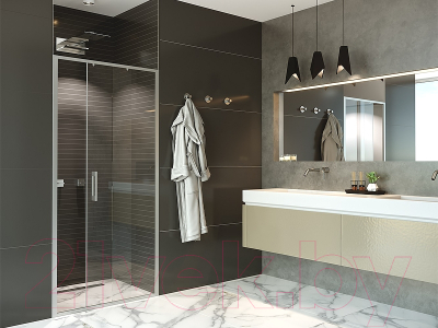 Душевая дверь Alex Baitler AB61C120