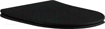 Сиденье для унитаза Aquatek AQ0004-MB - фото