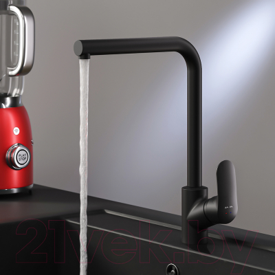 Мойка кухонная со смесителем БелЭворс Styl R + Like F8005022