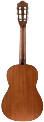 Акустическая гитара Flight C-100 NA 1/2