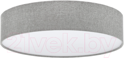 Потолочный светильник Eglo Pasteri 97613 - фото