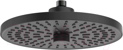 Лейка верхнего душа Ideal Standard BD581XG - фото