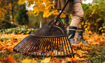 Грабли Fiskars Solid 1015645