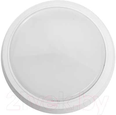 Светильник ЖКХ Feron AL3020 / 41768 - фото