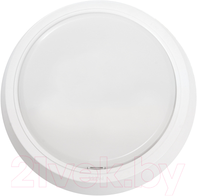 Светильник ЖКХ Feron AL3020 / 41766 - фото