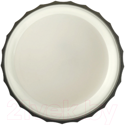 Потолочный светильник Feron HL3698 / 48684