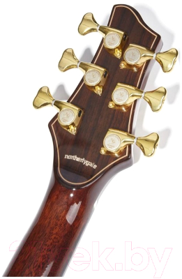 Акустическая гитара NG DM411SC BR