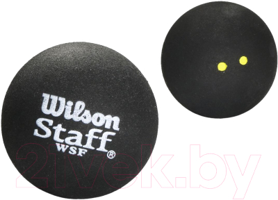 Набор мячей для сквоша Wilson Staff Squash 2 Ball / WRT617600 - фото