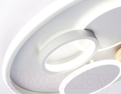 Потолочный светильник Ambrella FL4803 GR