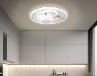 Потолочный светильник Ambrella FL4803 GR