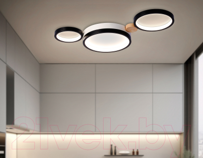 Потолочный светильник Ambrella FL4814/3 BK/WH