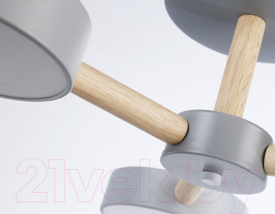 Люстра Ambrella FL4822/3 GR 