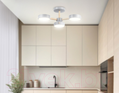 Люстра Ambrella FL4822/3 GR 