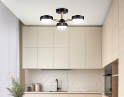 Люстра Ambrella FL4823/3 BK 