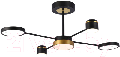 Потолочный светильник Ambrella FL51632/4+1 BK/GD