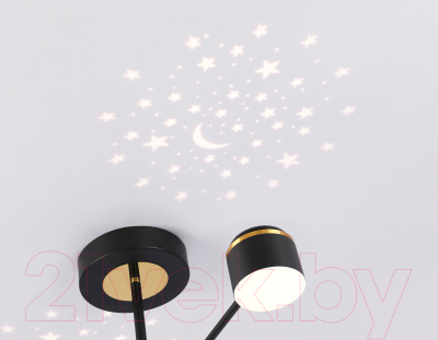 Потолочный светильник Ambrella FL51632/4+1 BK/GD