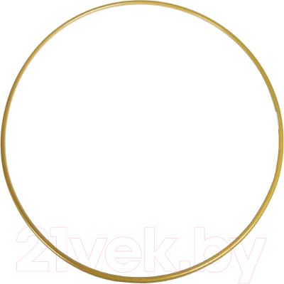 Обруч для художественной гимнастики Sima-Land 2642947 - фото