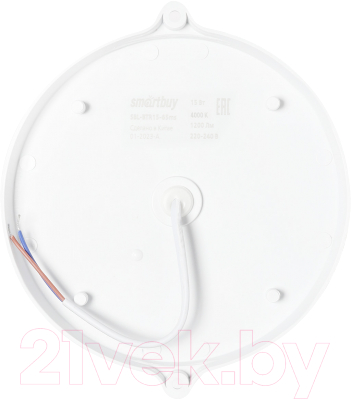 Светильник ЖКХ SmartBuy SBL-BTR15-40ms