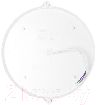 Светильник ЖКХ SmartBuy SBL-BTR22-40ms