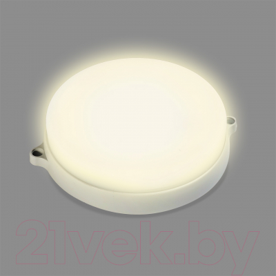 Светильник ЖКХ SmartBuy SBL-BTR22-40ms