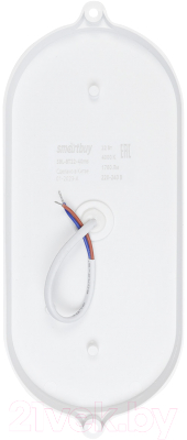 Светильник ЖКХ SmartBuy SBL-BT22-40ms