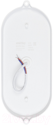 Светильник ЖКХ SmartBuy SBL-BT22-65ms