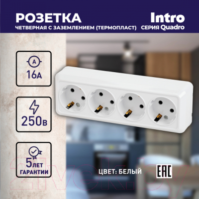 Розетка INTRO Quadro 2-208-01 / Б0053838