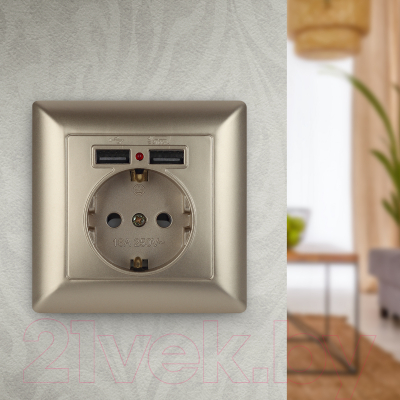 Розетка INTRO Solo 4-410-04 / Б0043406