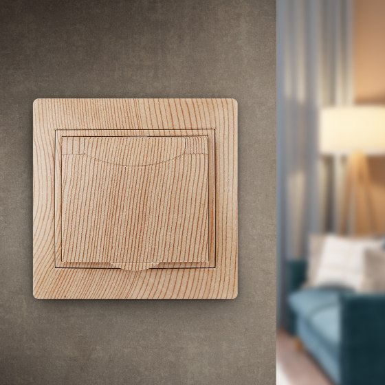 Розетка INTRO Plano 1-203-11 / Б0030065