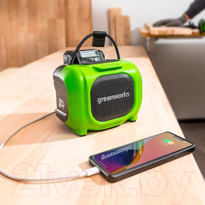 Портативная колонка Greenworks GPT-MNBS / 3503107