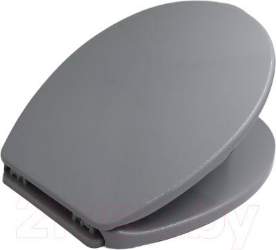 Сиденье для унитаза Bisk Iris 08471 - фото
