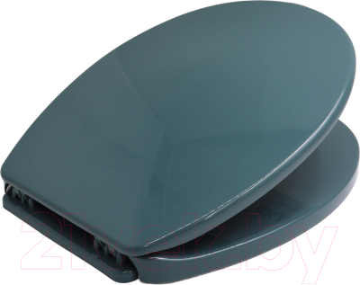 Сиденье для унитаза Bisk Iris 08472 - фото