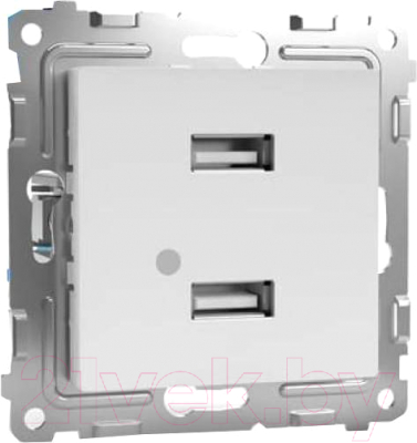 Розетка Tokov Electric Pixel TKE-PX-2USB-C01 - фото