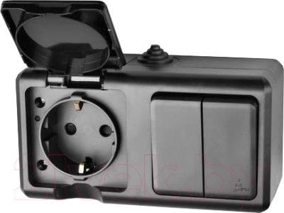 Блок выключатель+розетка Tokov Electric ОП Dita / TKL-DT-V2RZ-C14-IP54 - фото