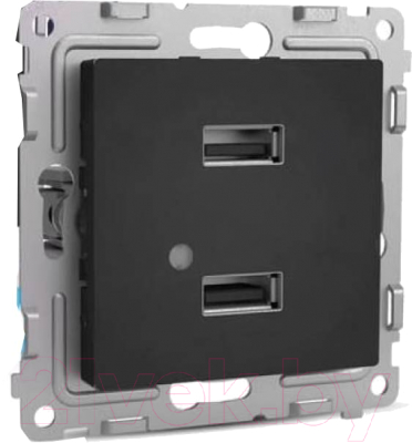 Розетка Tokov Electric Pixel TKE-PX-2USB-C14 - фото