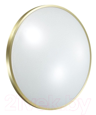 Потолочный светильник Sonex Lota Bronze 2089/CL - фото