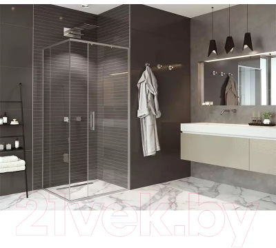 Душевая стенка Alex Baitler 80x200 / SG61C80