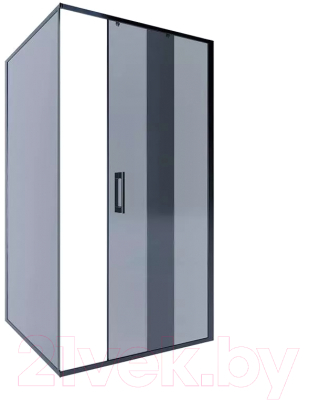 Душевая стенка Alex Baitler 100x200 / SG64B100