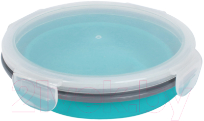 Контейнер Darvish DV-H-1876