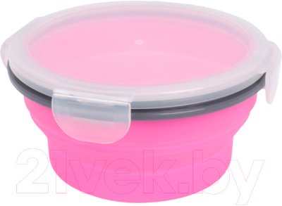 Контейнер Darvish DV-H-1875 - фото