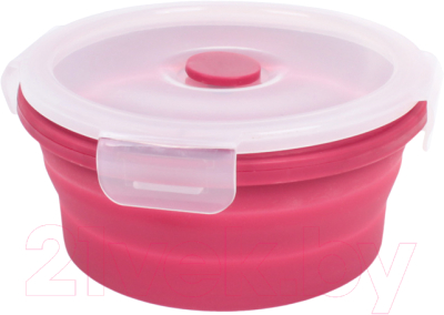 Контейнер Darvish DV-H-1874 - фото